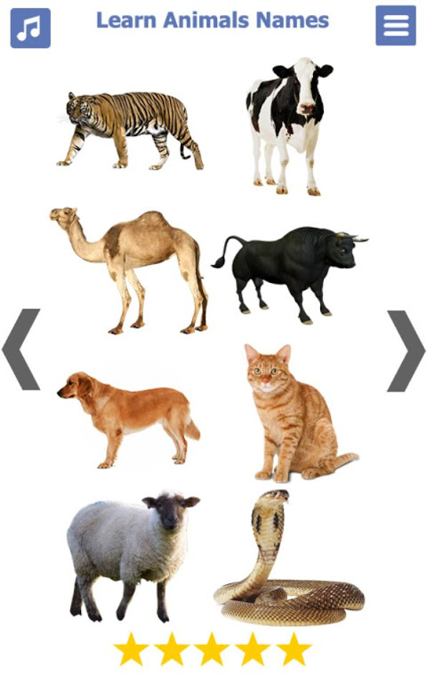 Learn Animals Name Animal Sounds Animals Pictures