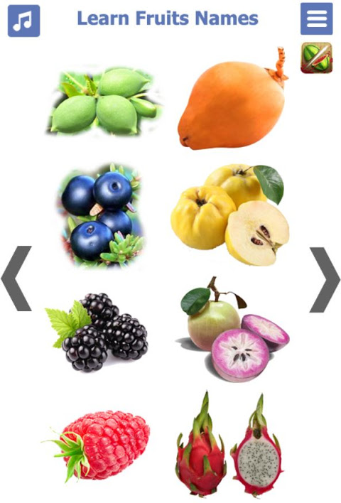 Learn Fruits Name 🍓🍉🍍🍎 Fruits name in english
