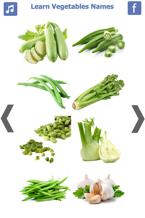 Learn Vegetables Name 🥒🍆🍅🥦