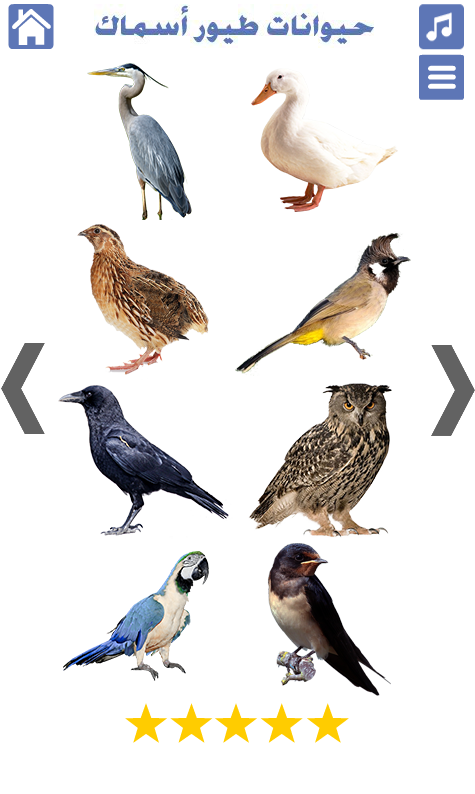 حيوانات طيور واسماك | اصوات الطيور والحيوانات