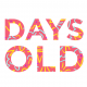 Days Old – How Many Days Old Are You? Icon