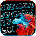 Betta Fish Aquarium Keyboard Theme