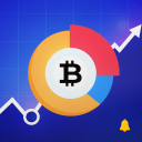 Crypto portfolio by CoinTrack