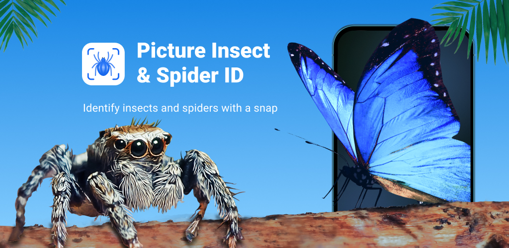 Picture Insect: Bug Identifier