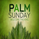 Happy Palm Sunday:Greetings,Ph Icon