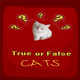 True False Trivia Cats quiz Icon