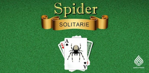 Spider Solitaire Cover