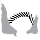Neperos