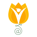 Next Learning Platform