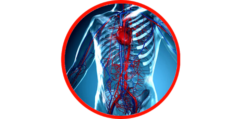 very-fast-apk-download-anatomy-physiology-v-1-5-22-73-mb