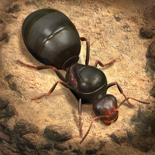The Ants: SOE icon