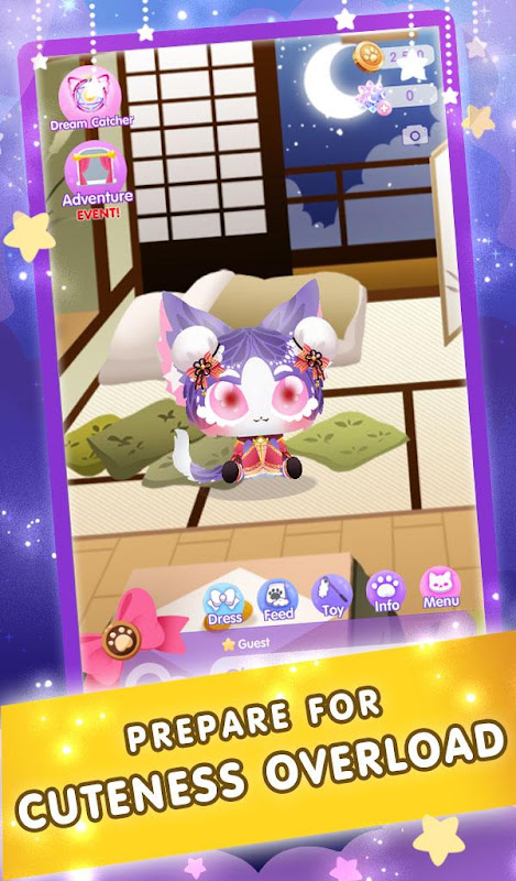 Dream Cat Paradise